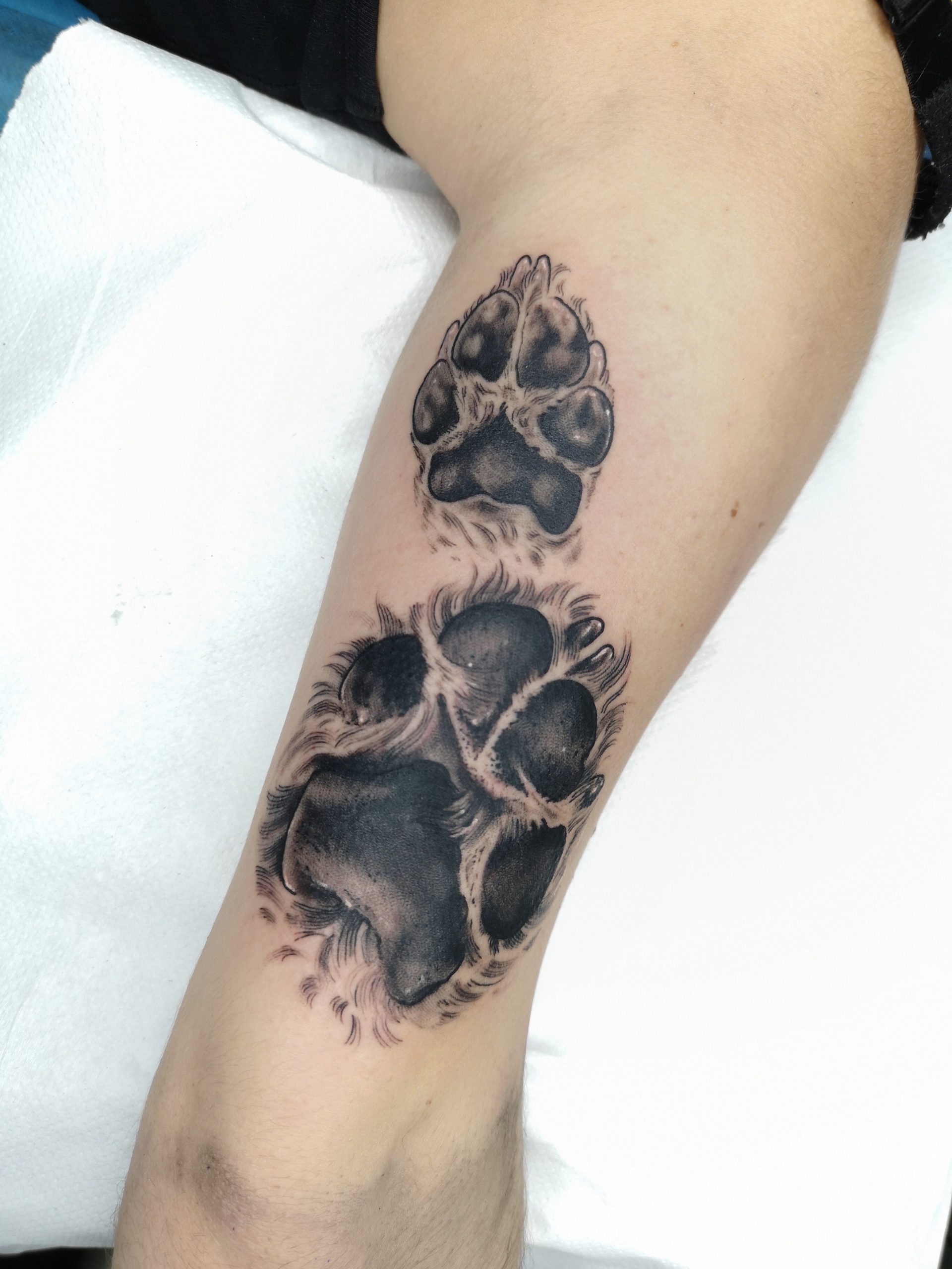 Walk-In Tattoo en Madrid Tatuajes sin cita previa - 13